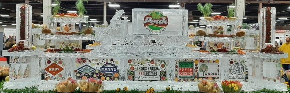 Custom branded ice bar display with engraved logo