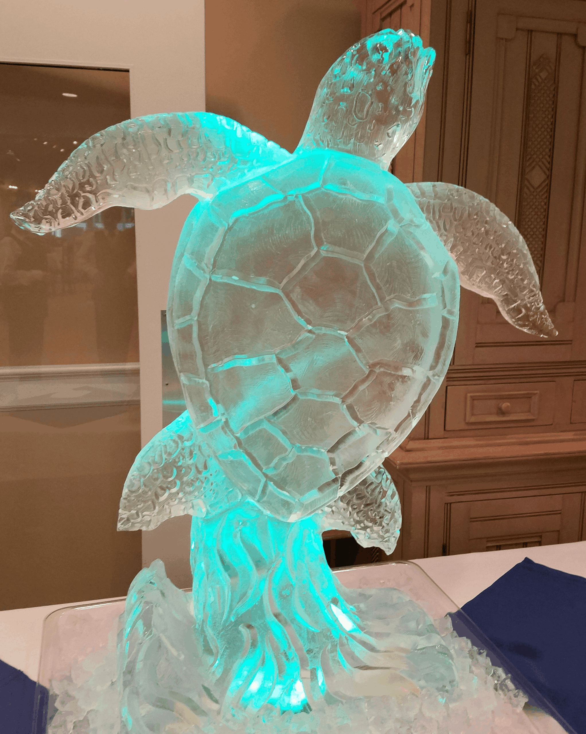 Illuminated sea turtle ice sculpture