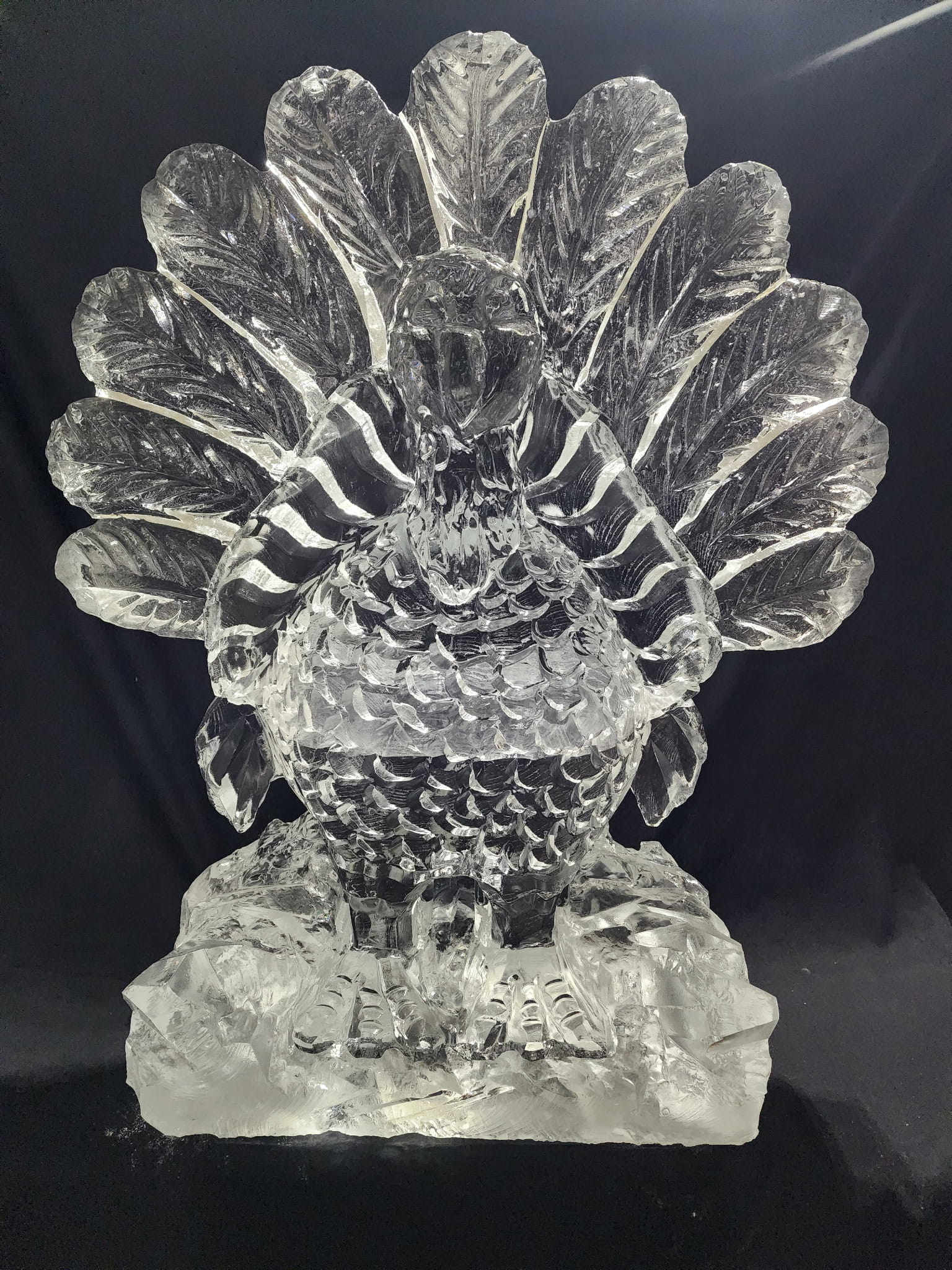 Ice Matters - Turkey - Front Facing