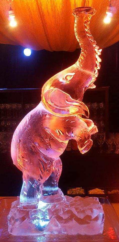 Illuminated seahorse ice sculpture