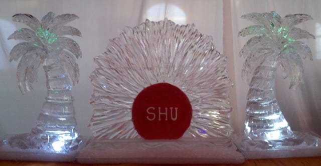 Red flower preserved in clear ice