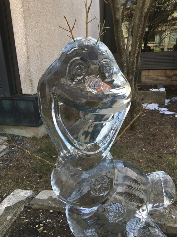 Fluid abstract crest or wave ice sculpture on a display surface