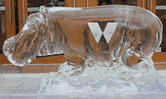 Monogram V engraved ice sculpture