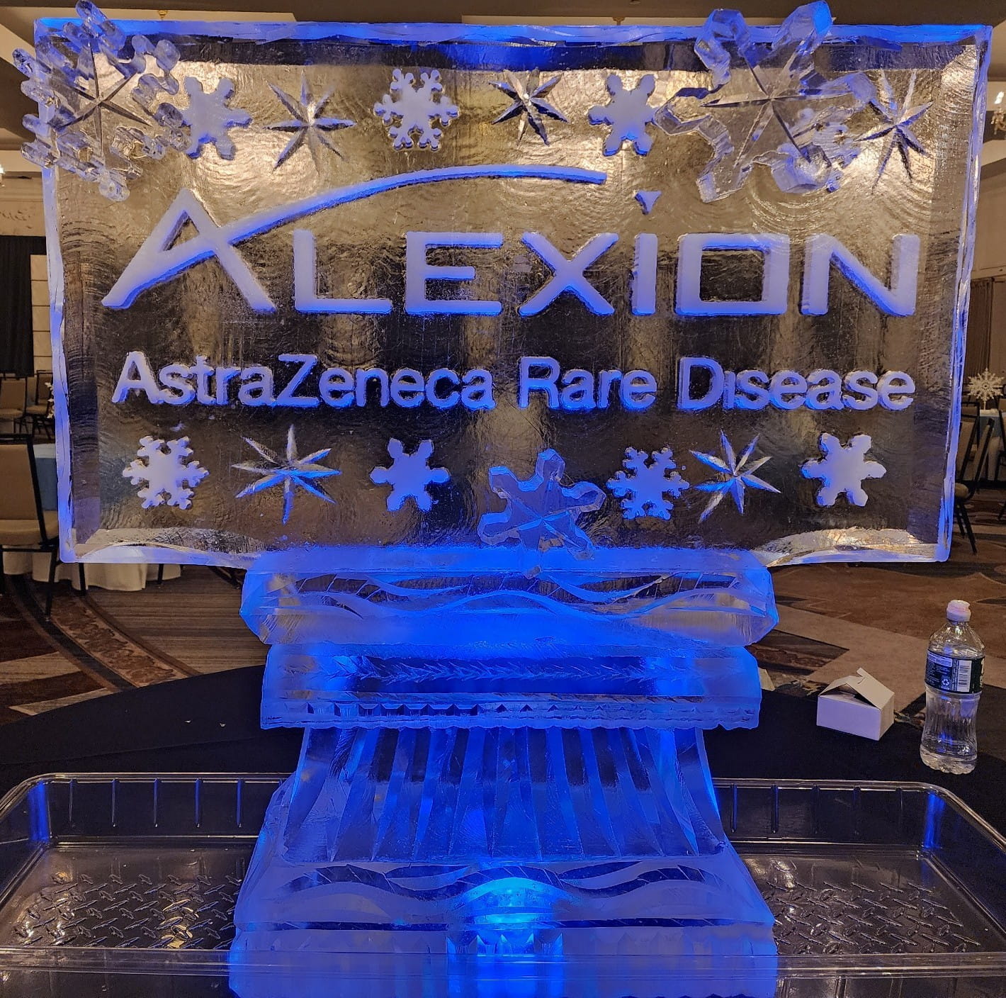 Ice matters - snowfilled logo with snowfilled and carved snowflakes