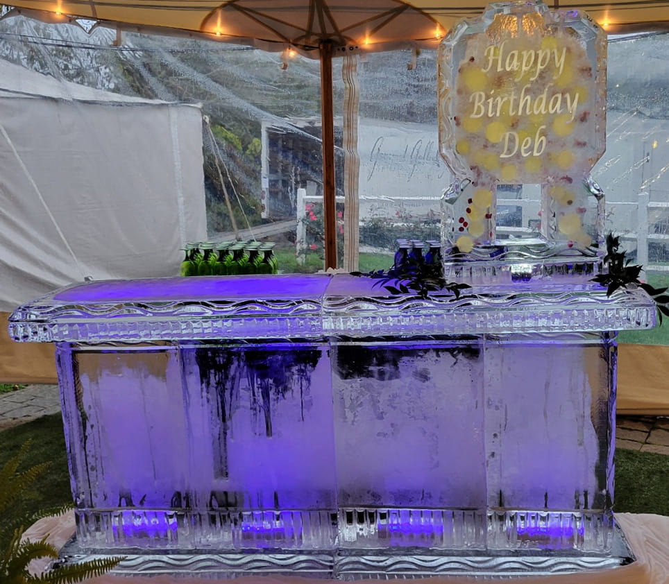 Outdoor wedding ice bar display