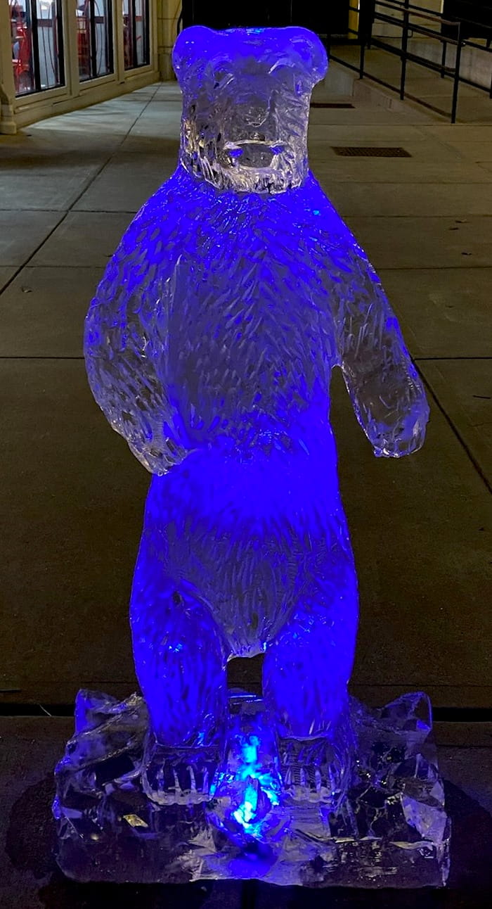 Ice Matters Polar Bear