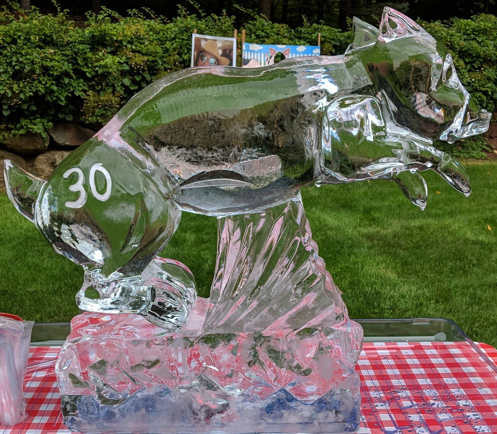 Fish ice sculpture with engraved number 30