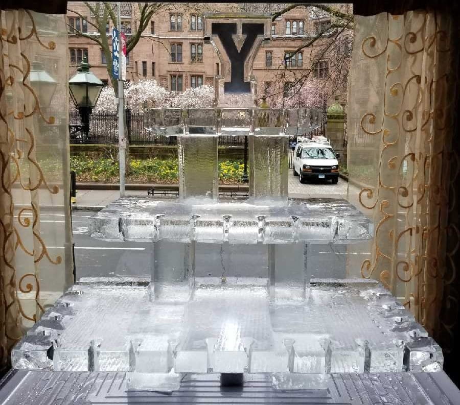 Monogram Y ice bar display
