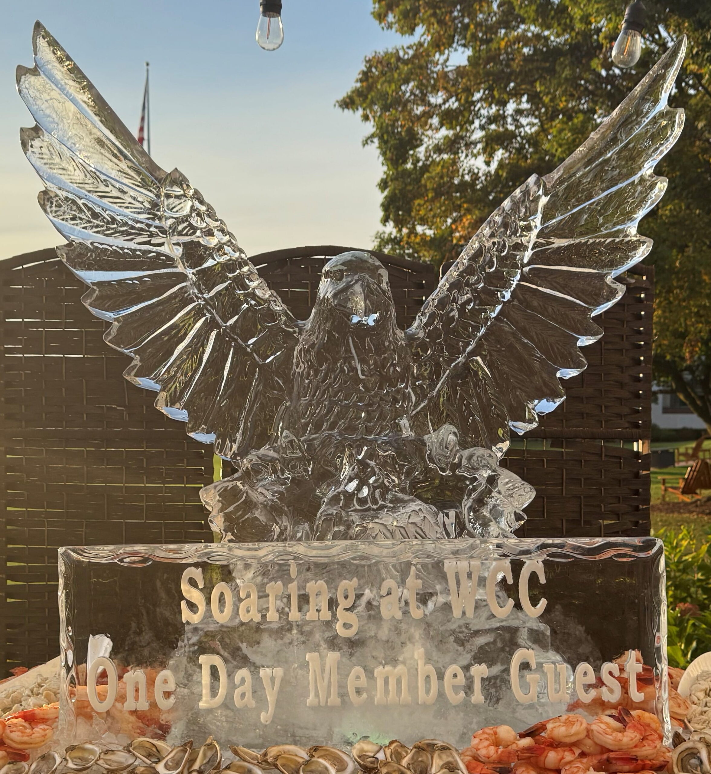Eagle wings ice sculpture