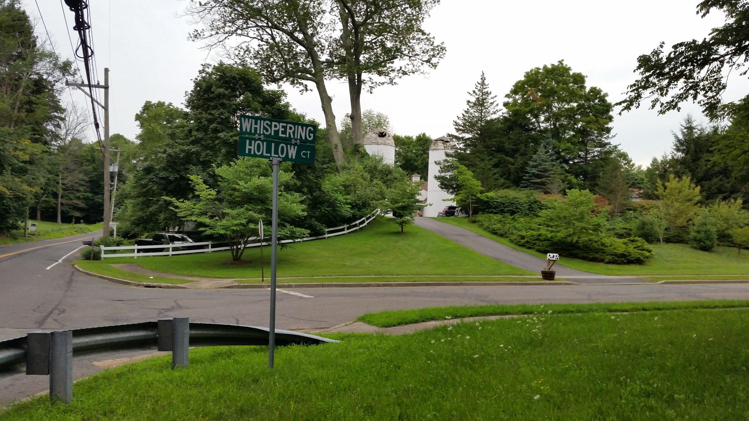 Lush green manicured landscape lawn leading to a private property driveway
